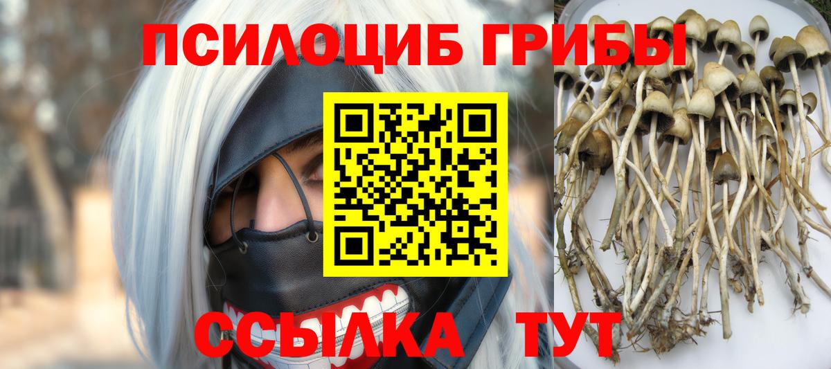 Галлюциногенные грибы мухоморы Ханты-Мансийск