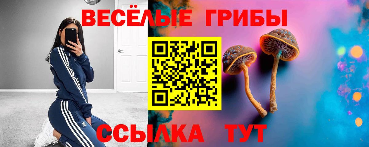 Ханты-Мансийск  Псилоцибиновые грибы прущие грибы  Вход с VPN 